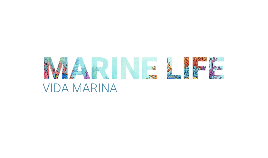 Marine Life · Vida Marina